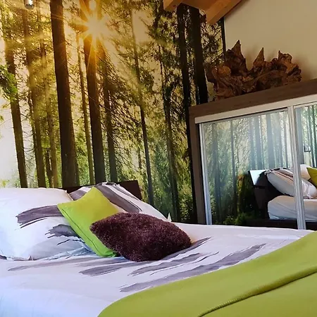 Accommodatie bij particulieren Les Vagnys - Des Vernays *